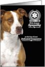 Sympathy Loss of a Service Dog American Pit Bull Terrier card