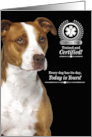 Service Dog Certification Graduation American Pit Bull Terrier card