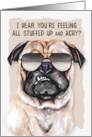 Get Well from a Cold or Being Sick Funny Pug Dog card