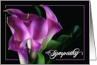 Sympathy Wishes Purple Calla Lily on Black Botanical card