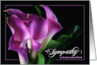 Loss of a Friend Sympathy Purple Calla Lily on Black Botanical card