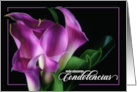 Spanish Condolencias with Purple Calla Lily on Black card