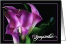 German Sympathie with Purple Calla Lily on Black card