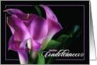 French Condoleances with Purple Calla Lily on Black card