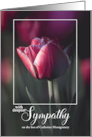 With Deepest Sympathy Rich Pink Tulip with Custom Text card