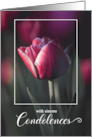 Deepest Condolences Pink Solitary Tulip card