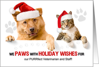 Veterinary Christmas Cat and Dog in Santa Hats card