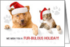 FURbulous Holiday Cat and Dog with Paw Prints card