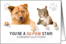 Funny Congratulations Cute Cat and Dog with Paw Prints card