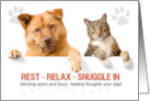 Get Well Cat and Dog with Paw Prints Rest and Relax card