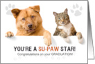 Veterinary Graduate Cute Cat and Dog with Paw Prints card