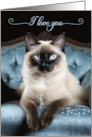 I Love You Siamese Cat on a Blue Chair card