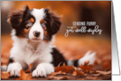 Get Well Soon Australian Shepherd Puppy Dog card