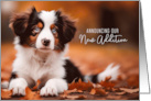 New Puppy Announcement Australian Shepherd Puppy Dog card