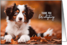 Adoption Thank You Australian Shepherd Puppy Black and White card