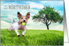 Birthday From the Dog Jack Russel Terrier Fetch card