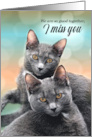 I Miss You Two Gray Cats I Miss Us card