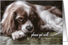 Get Well Soon Cocker Spaniel Dog on a Sofa card