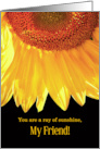 Friendship Sunflower Ray of Sunshine card