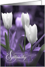 Sympathy White Tulips and Lavender Purple Tint card