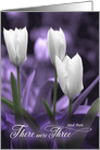 Congratulate New Parents Three White Tulips with Purple card
