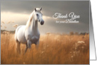 Thank You for Your Donation Horse in a Golden Meadow card