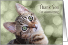 Volunteer Thank You Tabby Kitten card