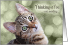 Encouragment Thinking of You Tabby Kitten card