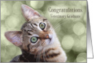 Congratulations Veterinary Graduate Tabby Kitten card