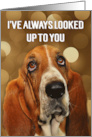 for Mentor Birthday Dog Lover Cute Basset Hound card