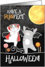 Funny Halloween Cats in Costumes card