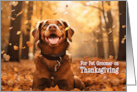 Pet Groomer Thanksgiving Chocolate Lab Dog in Autumn Leaves card