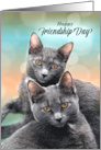 Happy Friendship Day for Cat Lovers Two Gray Cats card