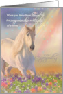 Pet Sympathy Loss of a Horse Rainbow with White Horse card