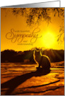 Pet Sympathy for Loss of a Cat Late Afternoon Sun card