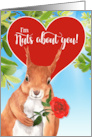 Funny Squirrel Valentine with Heart and Red Rose card