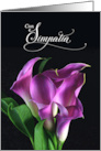 Italian Language Sympathy Simpatia Purple Lilies card