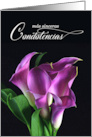 Spanish Sympathy Con Simpatia Purple with White Tulips card