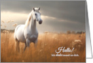 Hallo German Thinking of You Horse in a Summer Pasture card