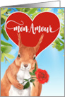 Mon Amour French Love and Romance Squirrel with Red Rose card