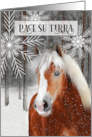 Italian Language Peace on Earth Winter Horse in the Woods card