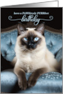 Birthday Siamese Cat on a Blue Chair card