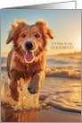 Goodbye Dog on the Beach Cute Golden Retriever card