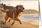 for the Runner’s Birthday Golden Retriever Dog on the Beach card