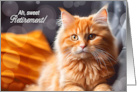 Retirement Congratulations Orange Tabby Cat Relaxing card