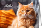 Hola Spanish Language Hi Hello Orange Tabby Cat Blank card