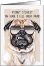 Kidney Stones Get Well with Funny Pug Dog card