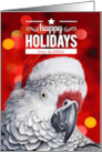 from Alaska Happy Holidays African Grey Parrot with Santa Hat card