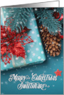 for Life Partner Christmas Cheer Blue and Red Holiday Decor card