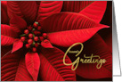 Burgundy Wine Christmas Poinsettia Seaon’s Greetings card